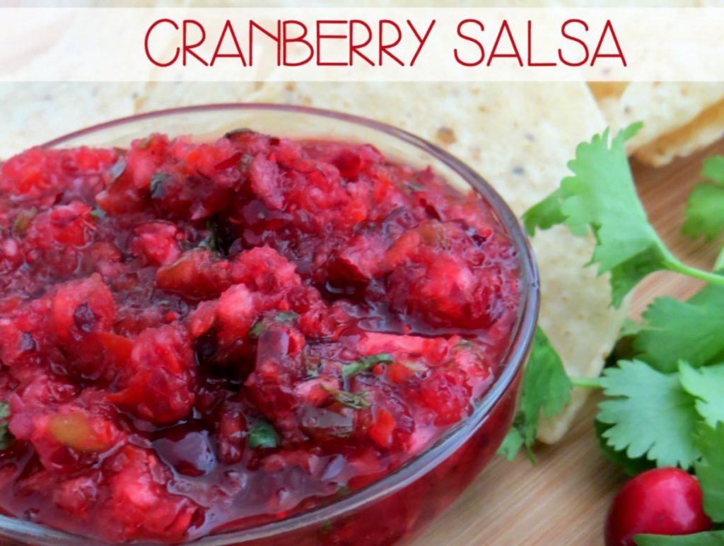 organic cranberry salsa recipe featuring cranberries, cilantro, onions and jalapenos