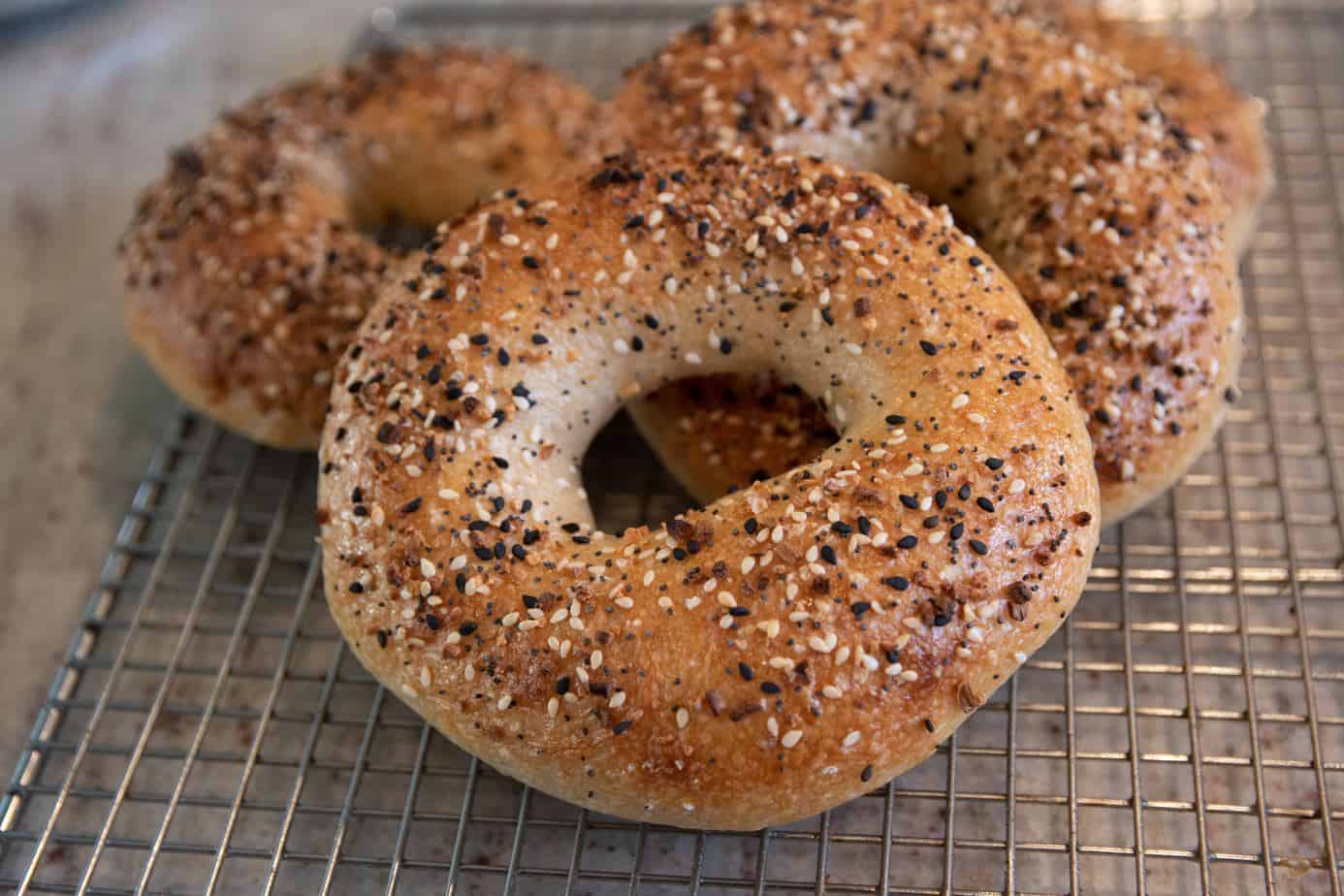 assorted bagels